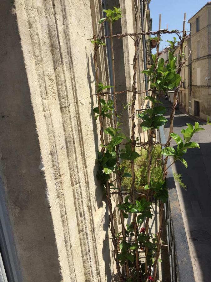 Chez Noelle Et Emmanuel Daire Montpellier Dış mekan fotoğraf